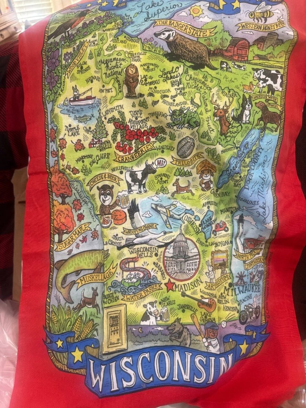 Wisconsin State Map Tea Towel By Carrie Wagner Design-100% Cotton Vibrant Color